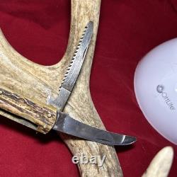 1960s Keystone Stag Solingen Hunting Fixed Blade Knife Multi Tool Sheath No 231