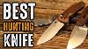5 Best Hunting Knives Under 50