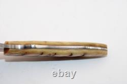 Arno Bernard Drop Point Hunting Knife Sheep Horn Handles