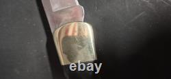 Buck 110 Knife Buffalo Horn Handle Scales Custom Hunting Pocket 2025