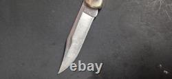 Buck 110 Knife Buffalo Horn Handle Scales Custom Hunting Pocket 2025