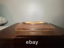 CASE XX USA 1976 THE AMERICAN SPIRIT 5165 Stag Folding Hunter Knife Bicentennial