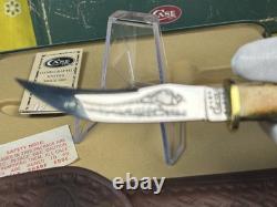 Case XX 523-3 1/4 SS Fixed Blade Hunting Knife Pheasant Etch Stag Grip, Sheath