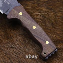 DC53 Steel 38CM (15.2IN) Full Tang 6Mm Thick Fixed Knife+Sheath&(5.9In) Cerium I