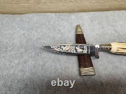 Des Solingen Germany Fixed Blade Clip Point Stagg Handle Hunting Knife