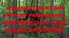 Dogman Stalks And Att Cks Paranormal Investigator 3 More V Olent Encounters