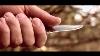 Old Timer Knives 152ot Sharpfinger Knife Best Hunting Survival Fixed Blade Knife