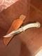 Silver Stag USA Deep Valley DV6. OPD Fixed Blade Hunting Knife With Stag Crown