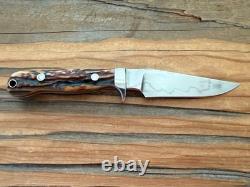 TK Steingass Small Hunter EDC, 3.75 W2 Hamon Blade, Sandbar Stg, Leather Sheath