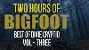 Two Hours Of Bigfoot Encounters
