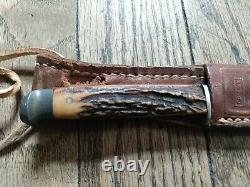 Vintage Case XX 3 1/4 Fixed Blade Fishing/Hunting Knife With Sheath Stag Handle